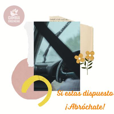 Si estas dispuesto ¡Abróchate! 💥