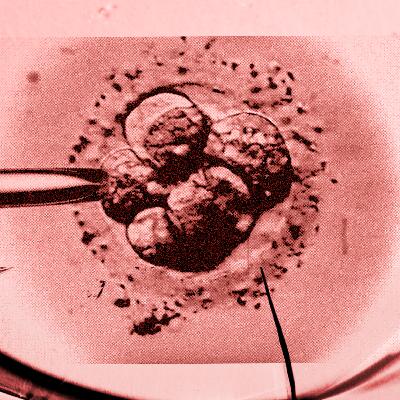 Fertility Care, Meet Sales Targets