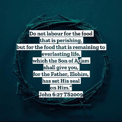 #4 Waiting On The King Wednesday Episode 2 (John 4-6)