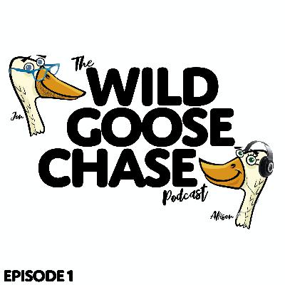 Episode 1 | What's a Wild Goose Chase?