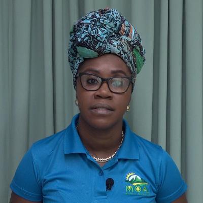 Fisheries Department Urges Responsible Consumption of Seafood During Kwéyòl Celebrations Fisheries Department Urges Responsible Consumption of Seafood During Kwéyòl Celebrations