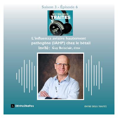 L'influenza aviaire hautement pathogène (IAHP) chez le bétail