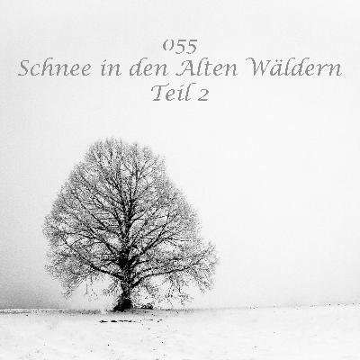 055 - Schnee in den Alten Wäldern - Teil 2