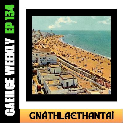 #134: Gnáthlaethantaí