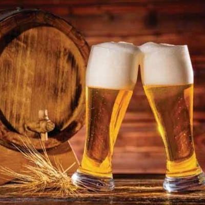 História e Produção da Cerveja 🍺