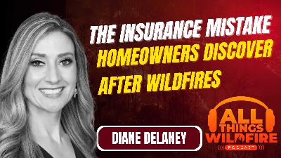 The Insurance Mistake Homeowners Discover After Wildfires - Diane Delaney