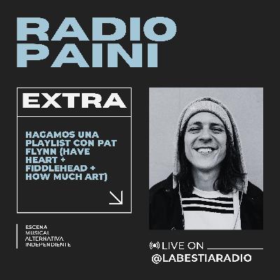 Radio Paini EXTRA - PAT FLYNN (Have Heart + Fiddlehead + How Much Art)