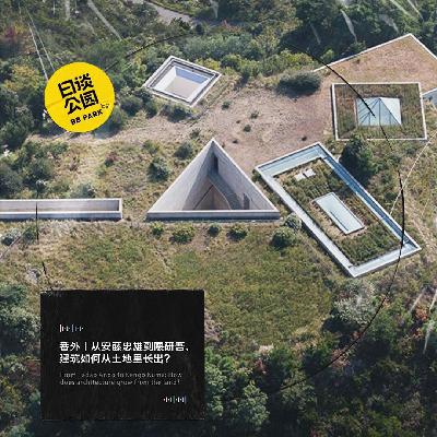 番外｜从安藤忠雄到隈研吾，建筑如何从土地里长出？