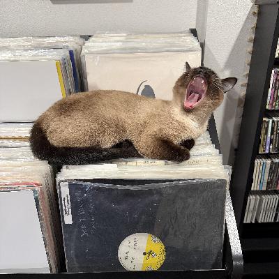 Episode 768: December 13, 2025 Episode 768: December 13, 2025