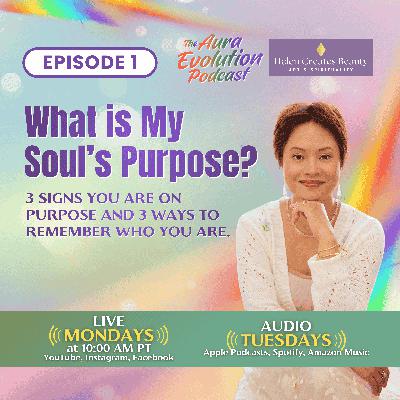 What is Your Soul's Purpose: 3 Signs You Are On Purpose & 3 Ways To Remember Who You Are What is Your Soul's Purpose: 3 Signs You Are On Purpose & 3 Ways To Remember Who You Are