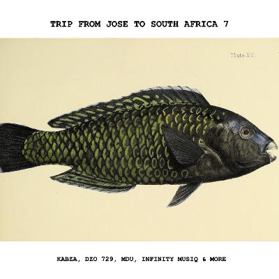 Trip from Jose to South Africa 7 with  Kabza, Dzo 729, Mdu, Infinity MusiQ & more