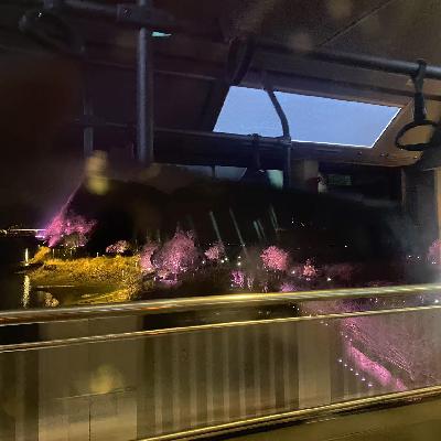 Vol.88 一场未遂的骗局,藏着意料之中的原因 | 散装生活03 Vol.88 一场未遂的骗局,藏着意料之中的原因 | 散装生活03