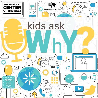 Kids Ask Why Season 2 Trailer