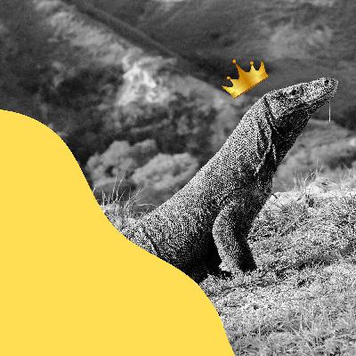 Indonesia: The Dragon King