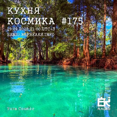 Dj Cosmic - Kukhnya Kosmika 175 mix 19.09.2025