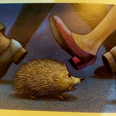 Bedtime Story: The Hodgeheg