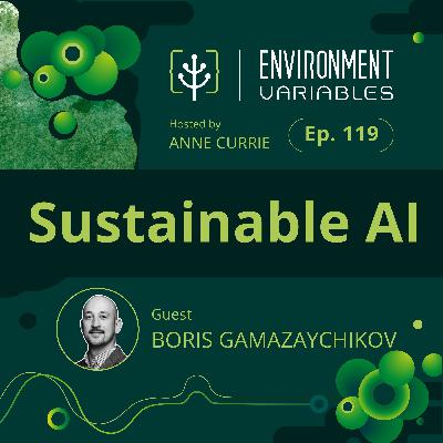 Sustainable AI