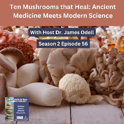 Ten Mushrooms that Heal: Ancient Medicine Meets Modern Science