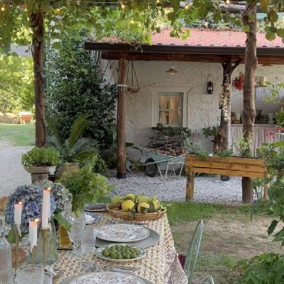 Trop de bruit, de stimulation : besoin de stopper (+ dernier jour pour réserver la retraite en provence ❤️❤️)