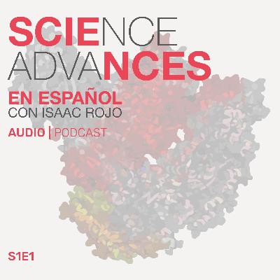 📰 Un nuevo estudio que pudiera darnos pistas sobre como desacelerar el envejecimiento