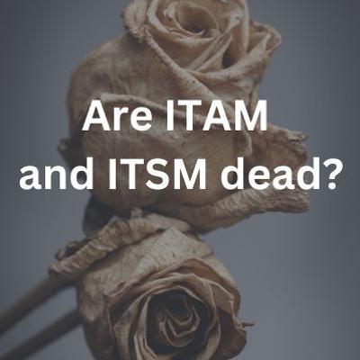 ITAMantics June 2024 ITAMantics June 2024