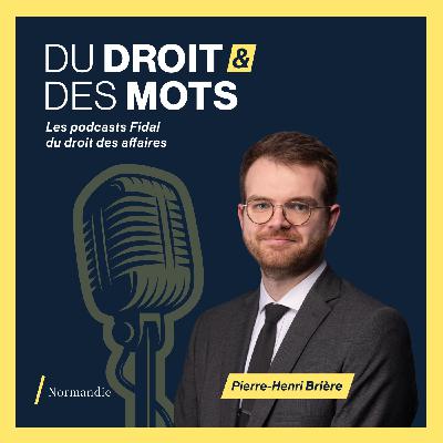 Recouvrement amiable ou judiciaire : que choisir quand un client ne paie pas ?