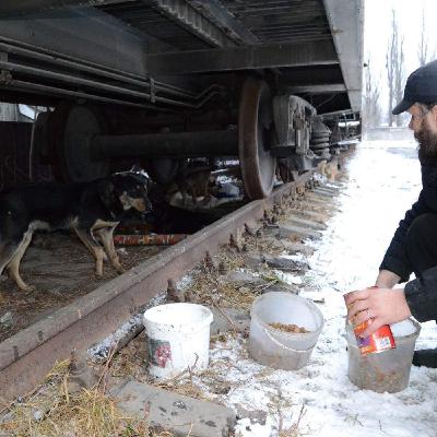 Gabbin’ with Gary!  Interview Julia Vrillaund & Claudia Panzer with Animal Rescue Mariupol PT 3 Gabbin’ with Gary!  Interview Julia Vrillaund & Claudia Panzer with Animal Rescue Mariupol PT 3