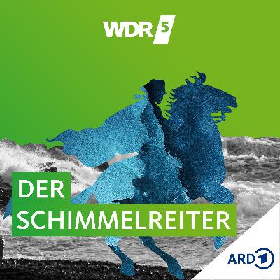 Der Schimmelreiter - Talk