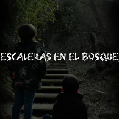Si Ves Escaleras En El Bosque, Huye!