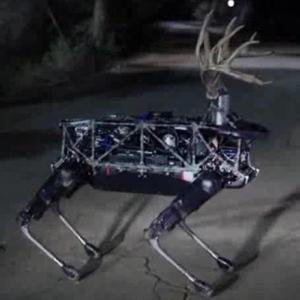 The Rules of the Road featuring David Kowalski The Rules of the Road featuring David Kowalski