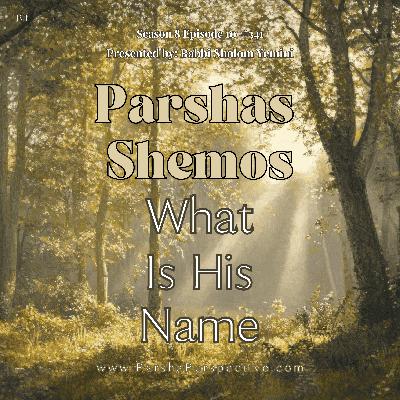 Parshas Shemos: What Is His Name
