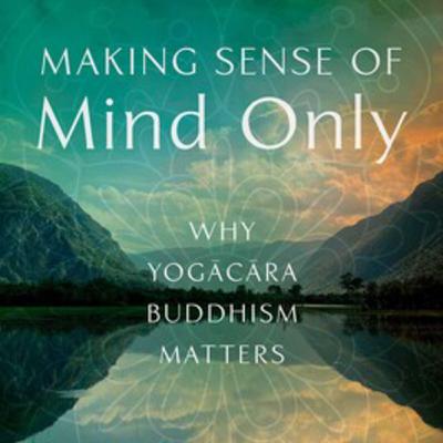 Making Sense of Mind Only 4