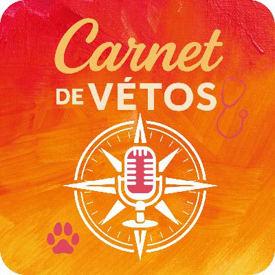 Intelligence artificielle, partenaire particulier - la médecine des animaux de compagnie