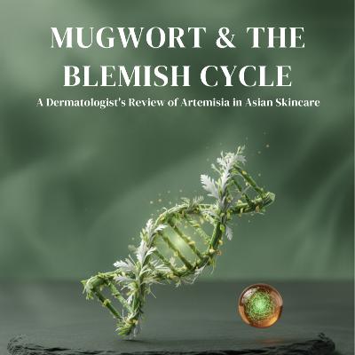 Mugwort & The Blemish Cycle: A Dermatologist’s Review of Artemisia in Asian Skincare Mugwort & The Blemish Cycle: A Dermatologist’s Review of Artemisia in Asian Skincare