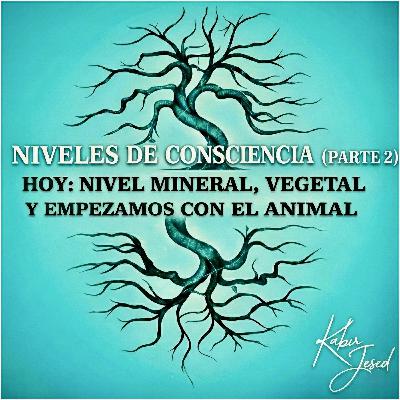 T6. Infusión Espiritual 30 | Niveles de consciencia — Parte 2 T6. Infusión Espiritual 30 | Niveles de consciencia — Parte 2
