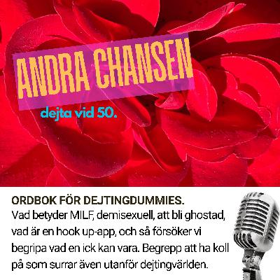 ORDBOK FÖR DEJTINGDUMMIES (5) ORDBOK FÖR DEJTINGDUMMIES (5)