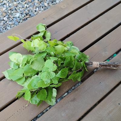 #7　朝からサウナ話