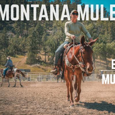 261. Montana Mule Lady- With Jessy Coltrane