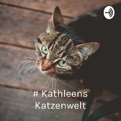Kathleen's Katzenwelt - Das macht deine Katze glücklich 🐈 Kathleen's Katzenwelt - Das macht deine Katze glücklich 🐈