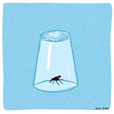 Bug Bounties: Los cazarrecompensas de la seguridad informática