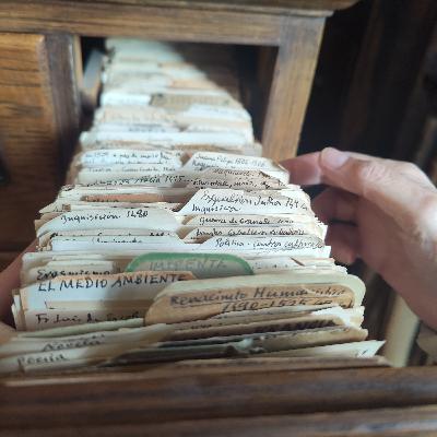 Idioma sin fronteras - La historia del español, de Menéndez Pidal