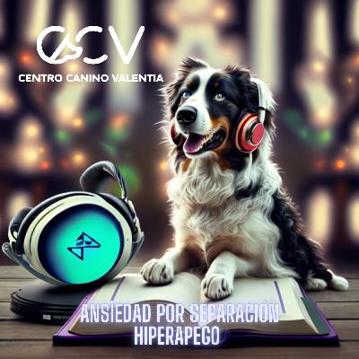 Descubriendo el Hiperapego: Claves para Superar la Ansiedad por Separación Canina