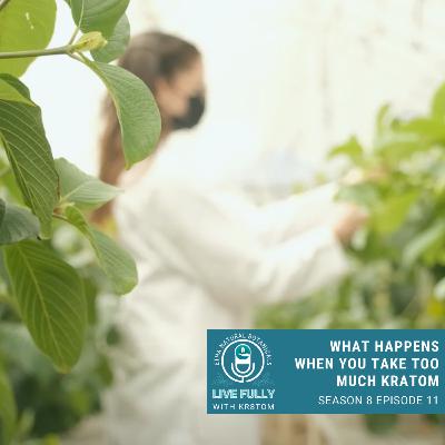 What Happens When You Take Too Much Kratom?