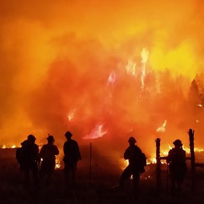 Wildfire and COVID19 Response