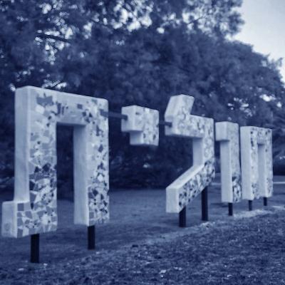 אין מקום אחר - חולית