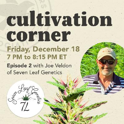 Cultivation Corner, Episode 2 With Joe Veldon Cultivation Corner, Episode 2 With Joe Veldon