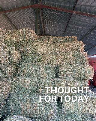 Complete the Job Complete the Job