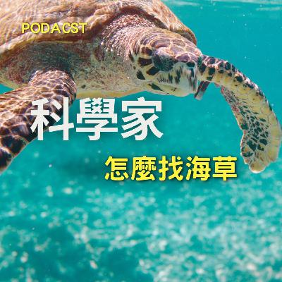 科學家如何找海草 從海底到天空：揭開海草與碳封存的奧秘