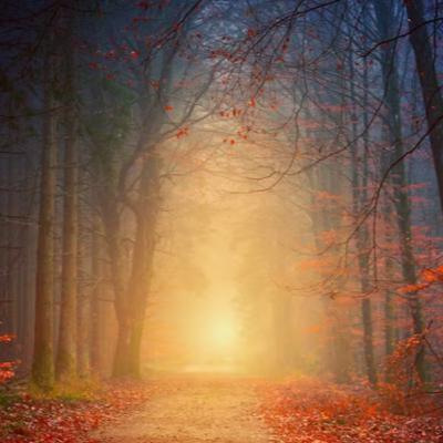 The Road Not Taken - poem by Robert Frost - two roads diverged in a yellow wood...