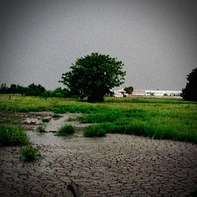 Pour Up, Drank. Head Shot Drank [Episode 202 Continued]